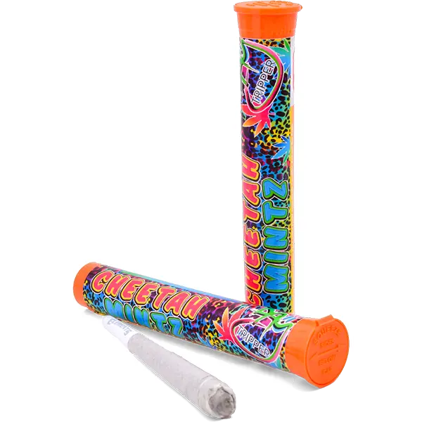 1g Cheetah Mintz Preroll Day Tripper Sunburst - Email Image