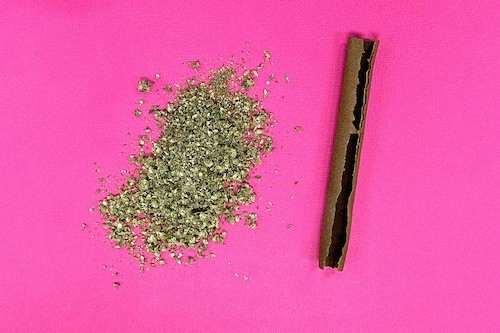 How to Roll the Perfect Blunt in 5 Easy Steps - Mango Cannabis