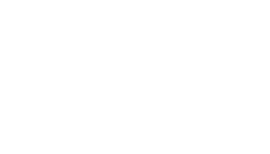Dixie Logo - White
