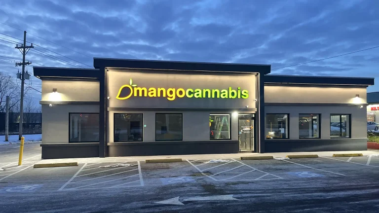 mango cannabis rochester dispensary
