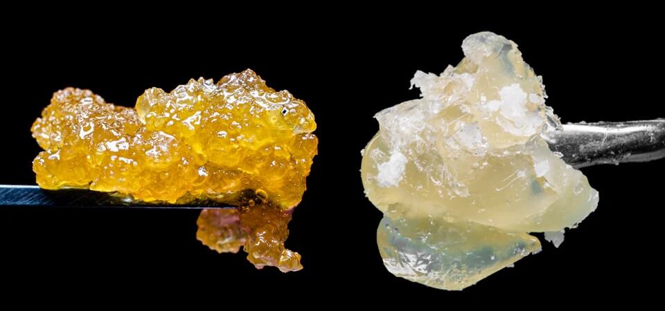 concentrates-in-rochester