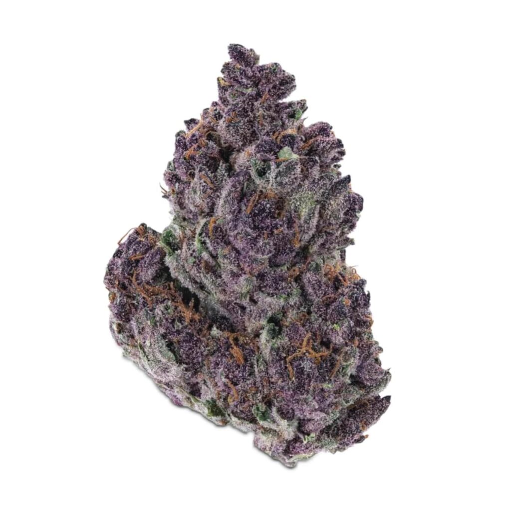 grand-daddy-purple-strain