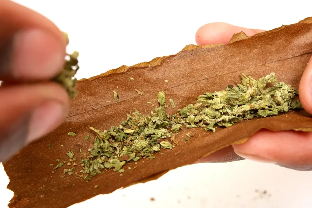 how-to-roll-a-blunt