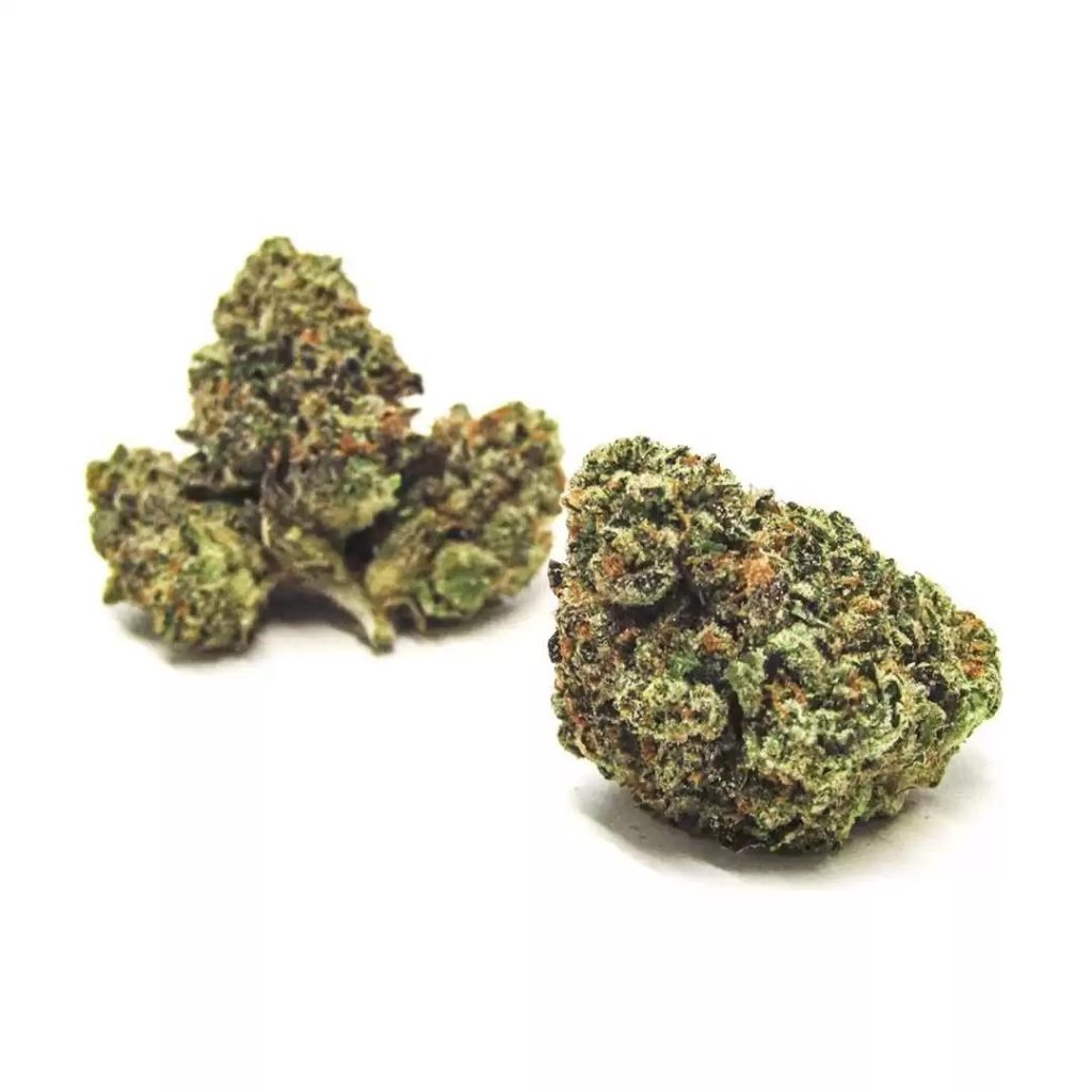 jealousy-strain