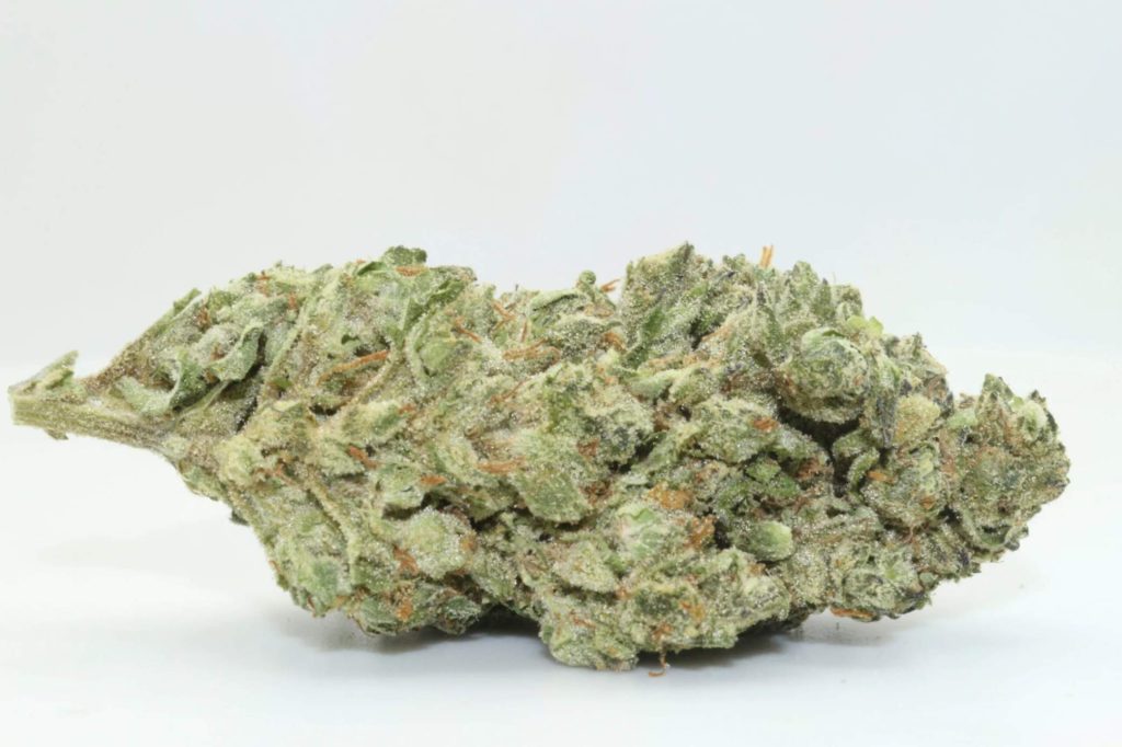 method-cannabis-cultivation