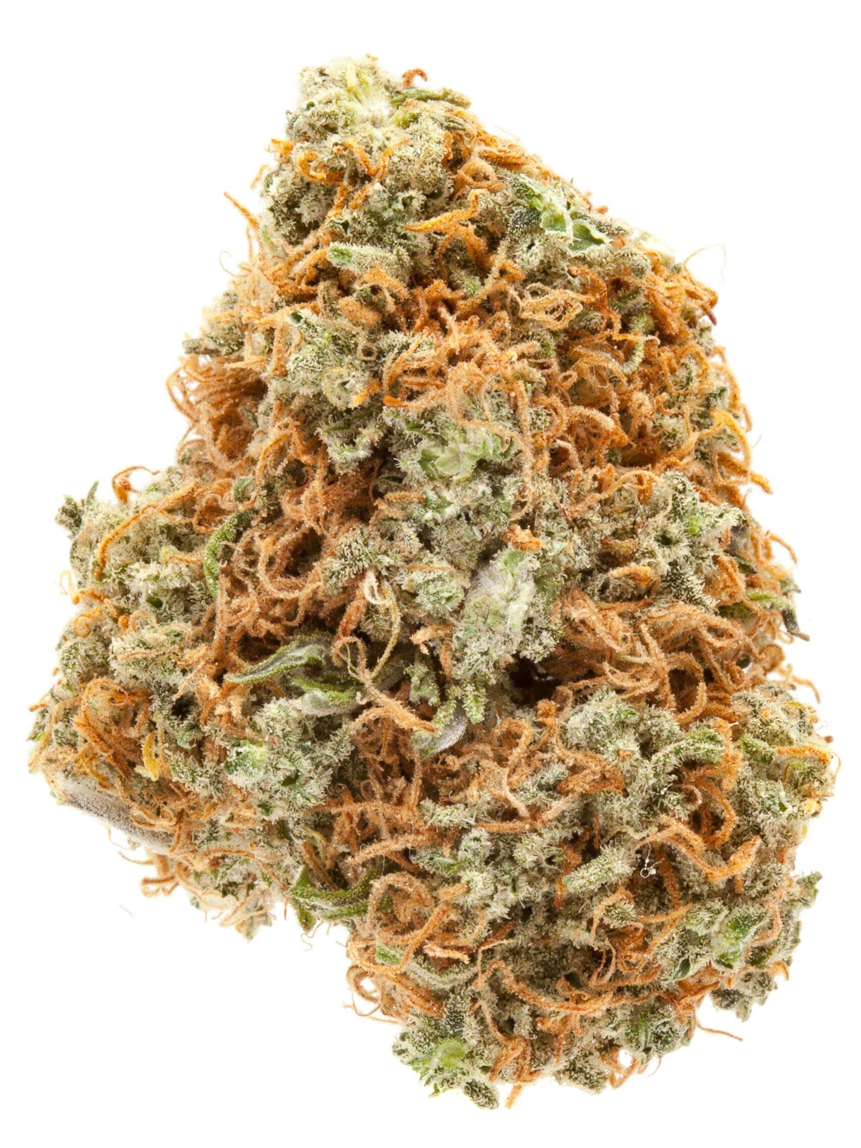 orange-crush-strain