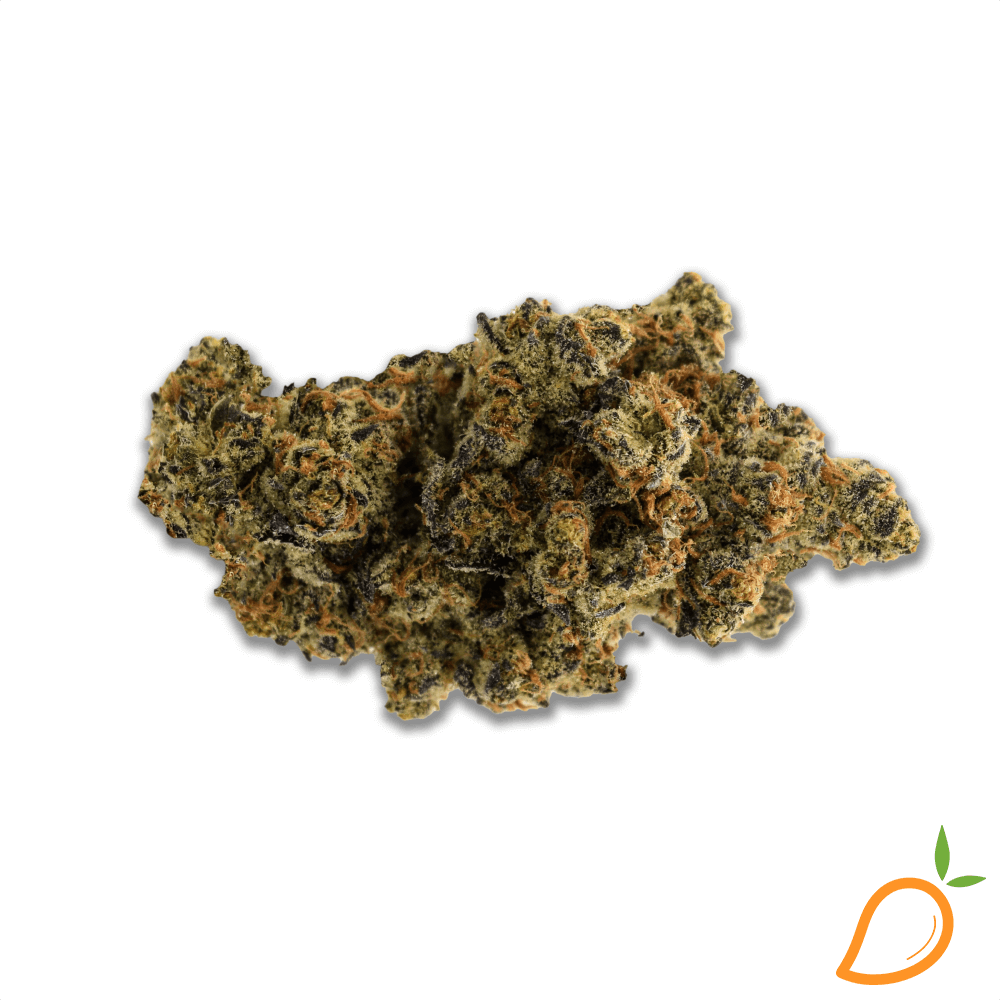 pure-michigan-strain