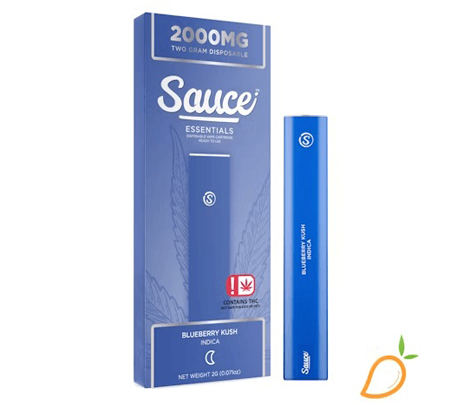 sauce-essentials-in-mi
