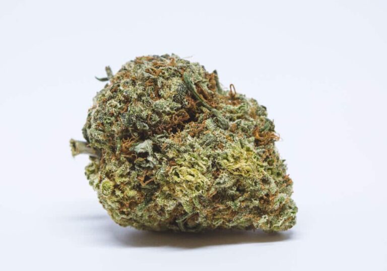 Trainwreck Strain: Origins, THC Levels, Terpenes, and More