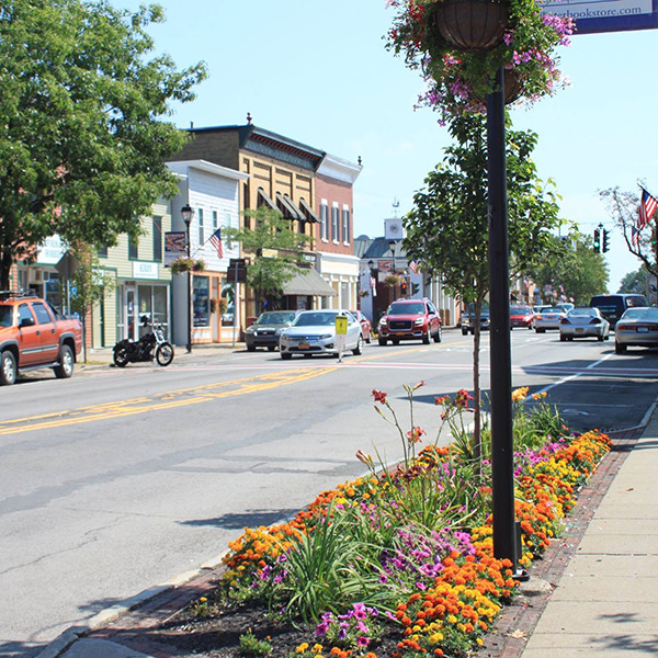 webster-ny
