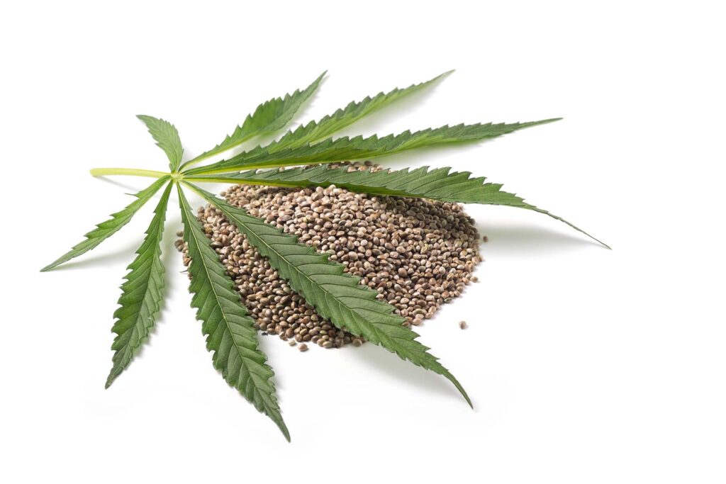 what-is-hemp